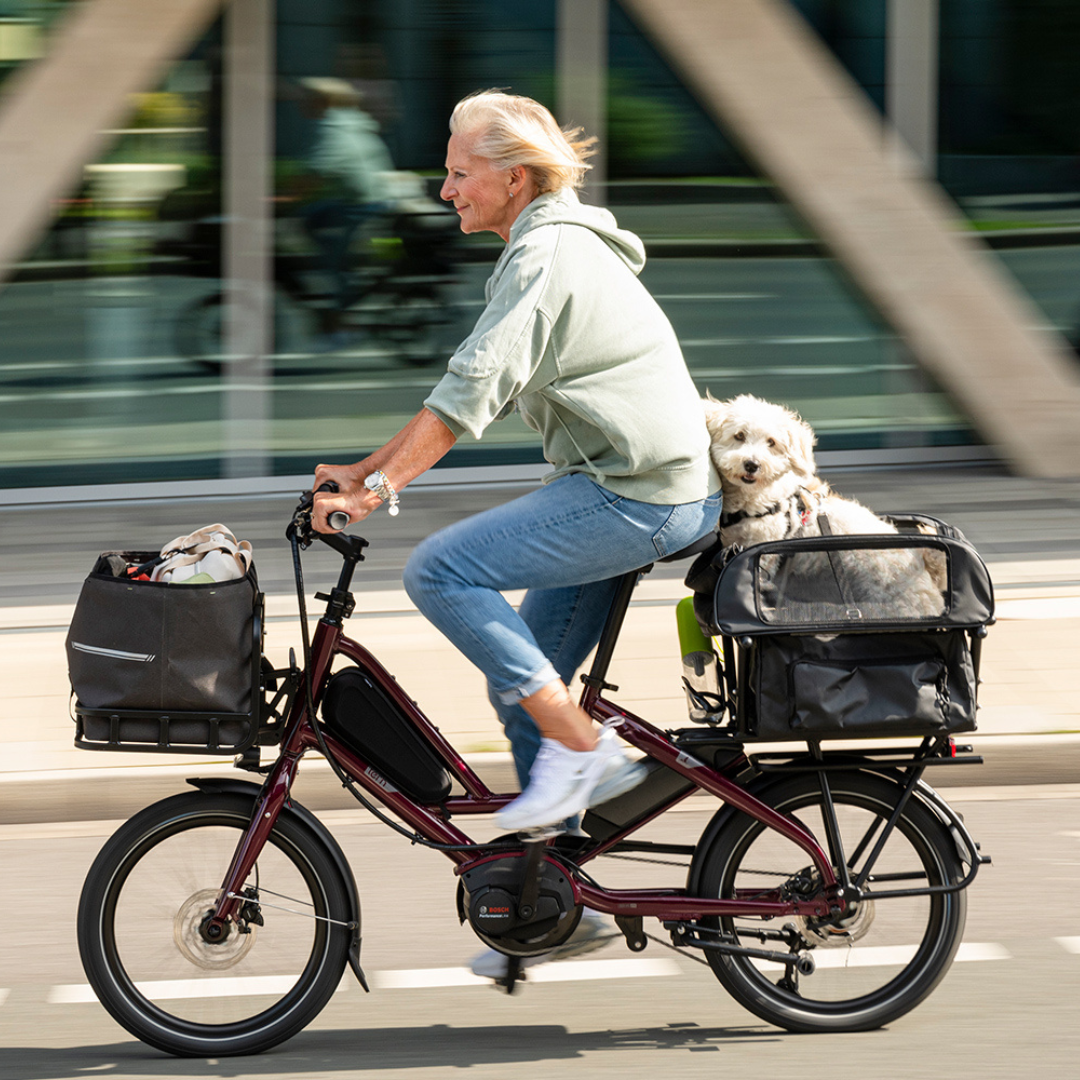 אישה רוכבת על אופני טרן Quick Haul עם כלב