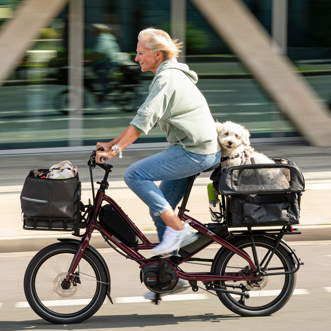 Woman riding Tern Quick Haul ebike  with dog 